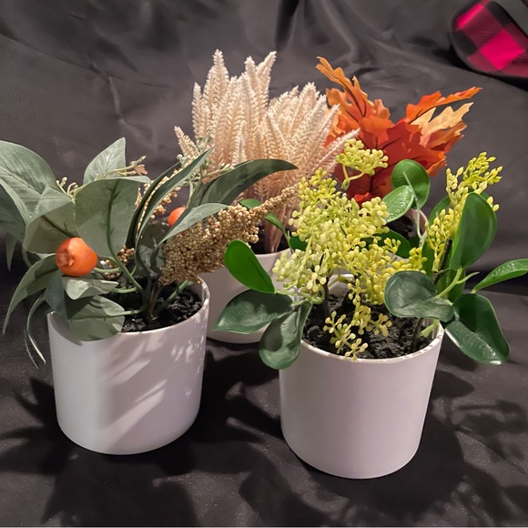 Faux potted plants, 4” tall - Picture 7 of 11